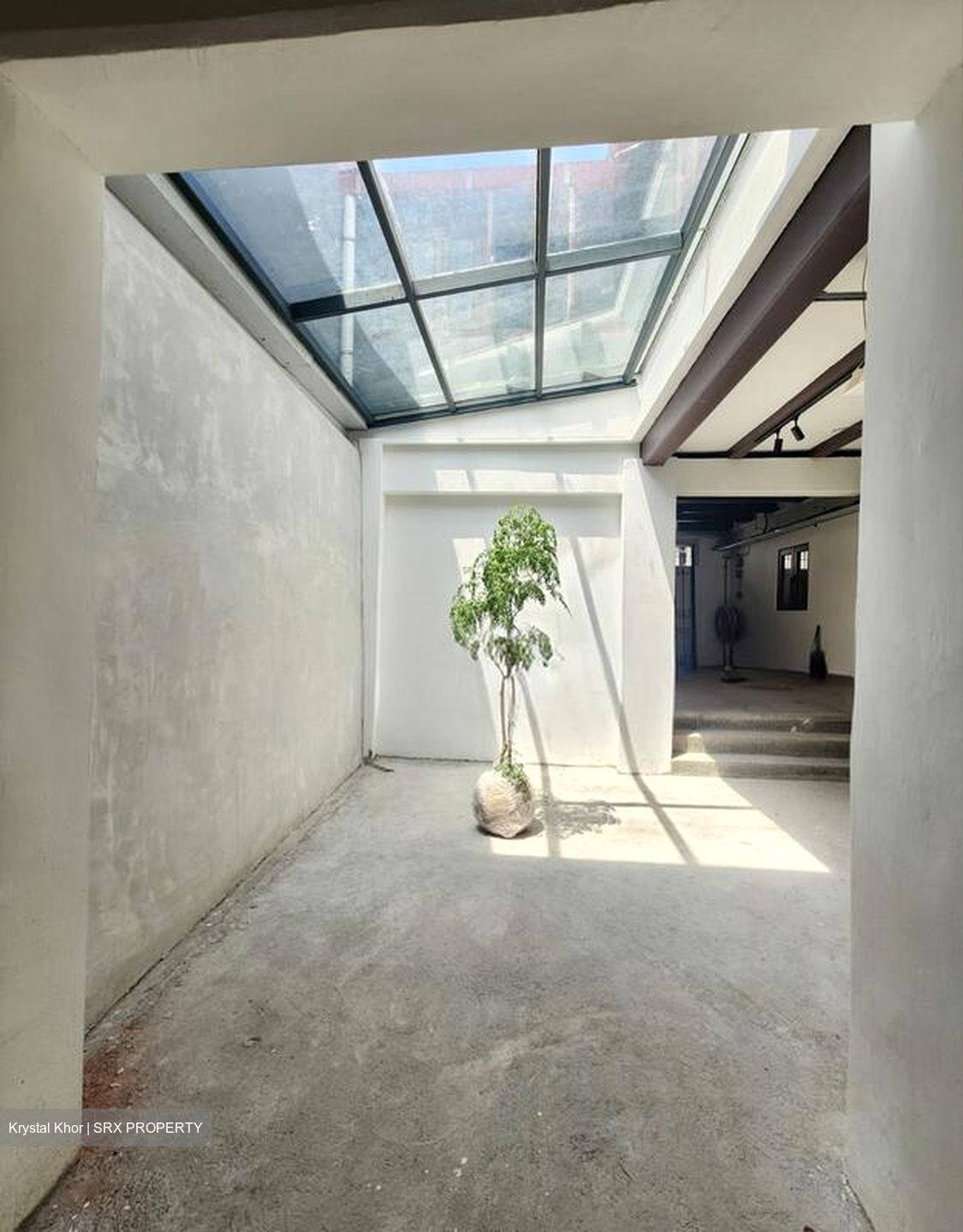 Club Street (D1), Shop House #497801401